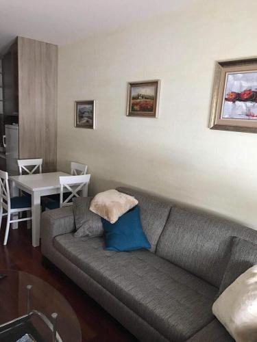 a living room with a gray couch and a table at Sweet Apartments in Žabljak