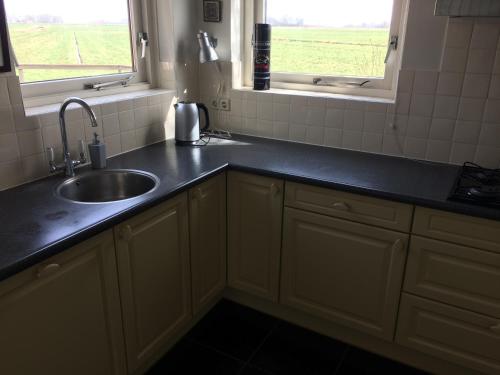 a kitchen with a sink and a window at Wide ie Grou in Nes