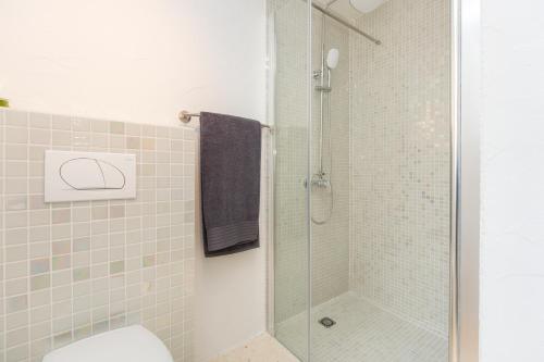La salle de bains est pourvue de toilettes et d'une douche en verre. dans l'établissement Wellness House Oliva with heated salt water Pool, Sauna & Jakuzzi, à Labin
