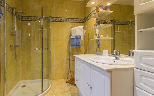 ein Bad mit einem Waschbecken und einer Dusche in der Unterkunft Chambre Melody in Janville