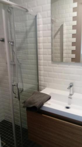 La salle de bains est pourvue d'une douche et d'un lavabo. dans l'établissement Gîte les 3 tours 1e étage, à Carcassonne