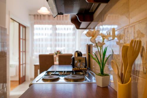 a kitchen with a stove and a vase with flowers at Apartman Andjela in Tivat
