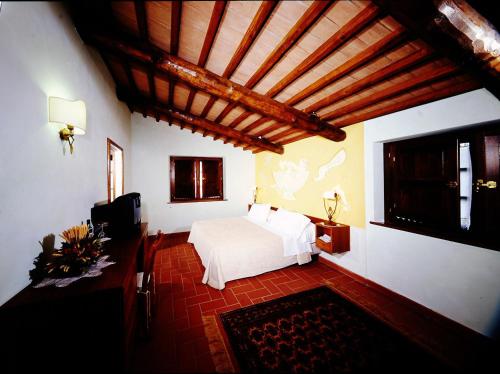 a bedroom with a bed and a television in it at Fattoria Pianetti in Manciano