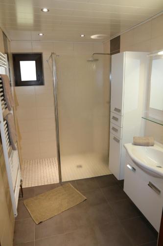 ein Bad mit einer Dusche und einem Waschbecken in der Unterkunft Chalet Beau Regard in Hellert
