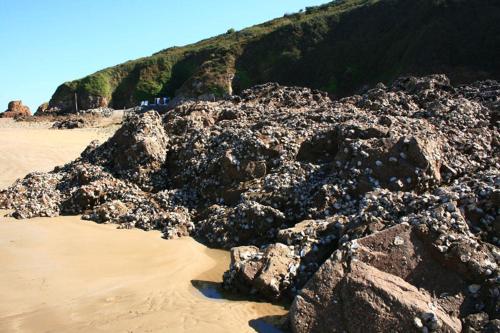 a pile of rocks on a sandy beach at Domaine de Keravel in Plouha
