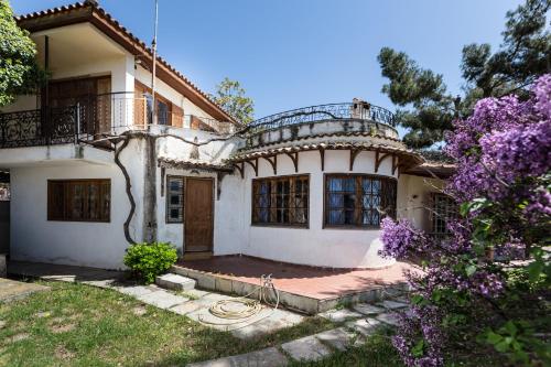 Κήπος έξω από το delphi villa Terracotta