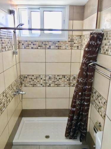a bathroom with a shower with a tub at A.A Michael Apartments in Pachyammos