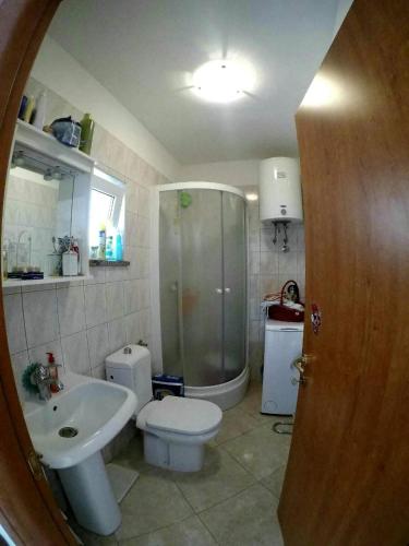 a bathroom with a shower and a toilet and a sink at Nives in Starigrad