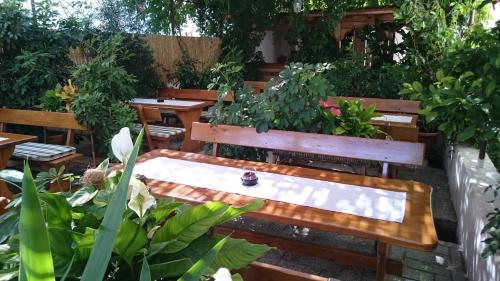 Holiday house Mastrinka – Photos 2