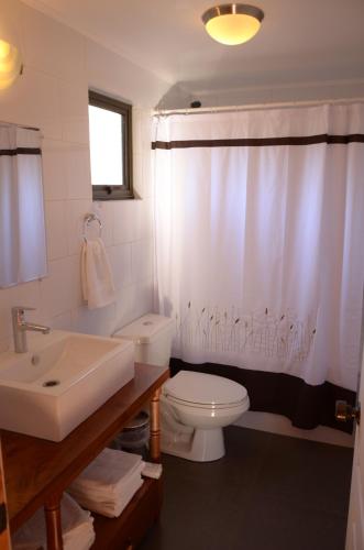 un bagno con un water bianco e un lavandino di Cabañas Las Cabras a Las Trancas