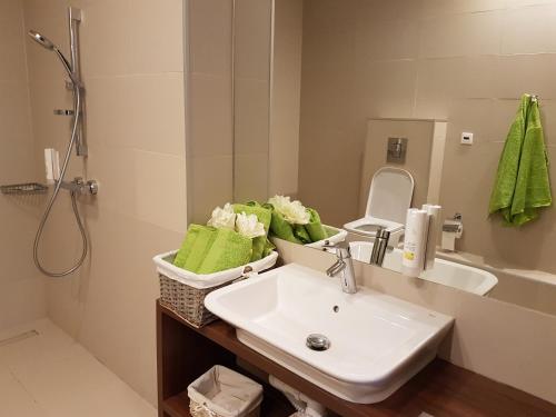 a bathroom with a sink and a toilet and a shower at Apartament Magnolia przy morzu in Międzyzdroje