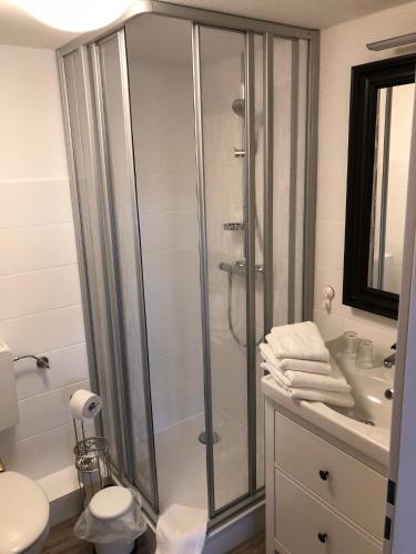 a bathroom with a shower and a sink at Heeren's Hotel Garni in Bensersiel