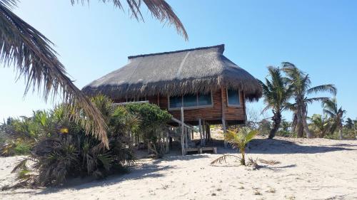 a wooden hut on the beach with palm trees at Pura Vida Lodge in Morrumbene