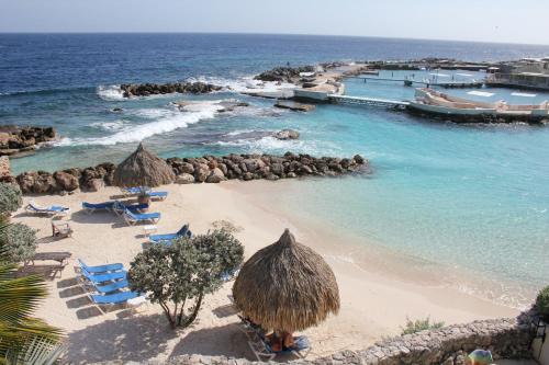 a beach with chairs and umbrellas and the ocean at Curacao Luxury Holiday Rentals in Willemstad