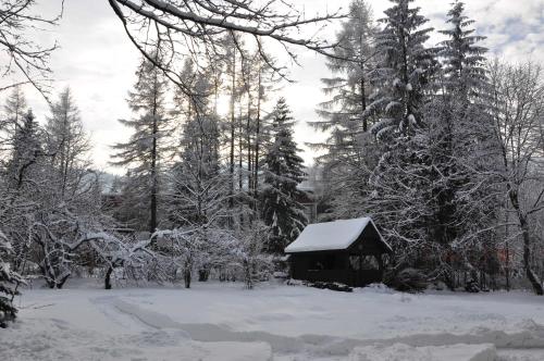 een met sneeuw bedekte schuur in een bos bij Willa Marma B&B in Zakopane