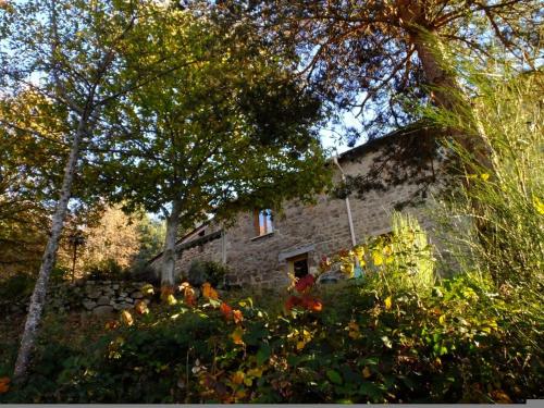une ancienne maison en pierre au milieu des arbres dans l'établissement Domaine Des Blaches, à Désaignes