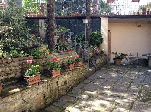a row of potted plants on a stone wall at Casa Vacanze Amelia in Fiesole