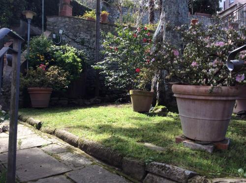 two large pots of flowers in a yard at Casa Vacanze Amelia in Fiesole