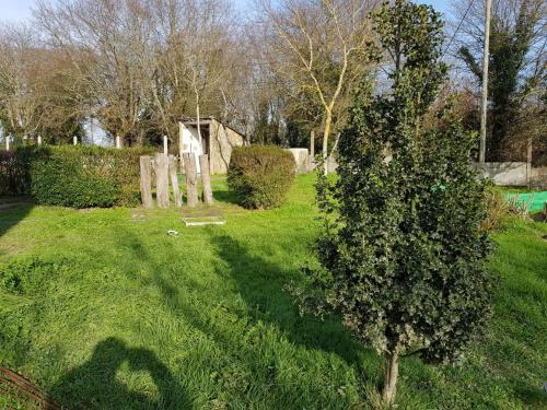 a green yard with a tree in the grass at Casa de Campo Cruz de Pedra in Portomarin