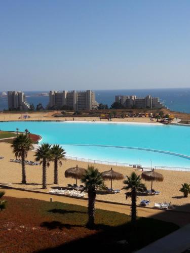 una gran piscina con palmeras y sombrillas en una playa en Laguna Bahía Algarrobo Valparaiso, en Algarrobo