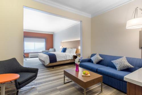 a living room with a bed and a blue couch at Holiday Inn Express Houston-Alvin by IHG in Alvin