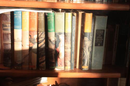 a bunch of books sitting on a shelf at Amaranto Bed and Breakfast in Cozumel