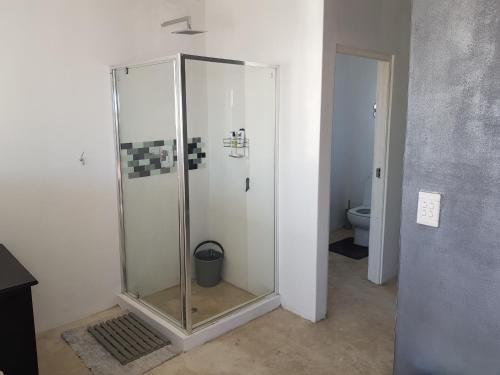 a bathroom with a glass shower with a toilet at Atlantic Loft - Open plan apartment with Sea Views in Melkbosstrand