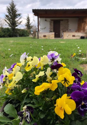 Zahrada ubytování B&B Cuor Di Lavanda