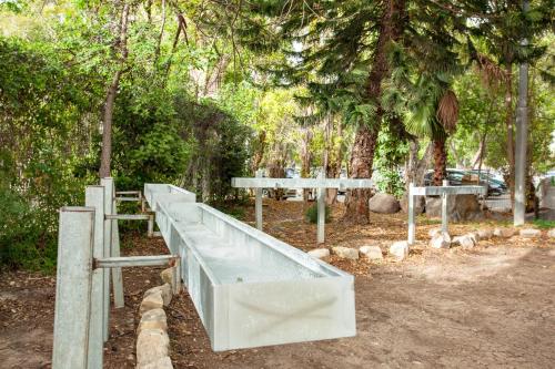 a row of benches in a park with trees at The Camping Site Hamat Gader in Kinneret