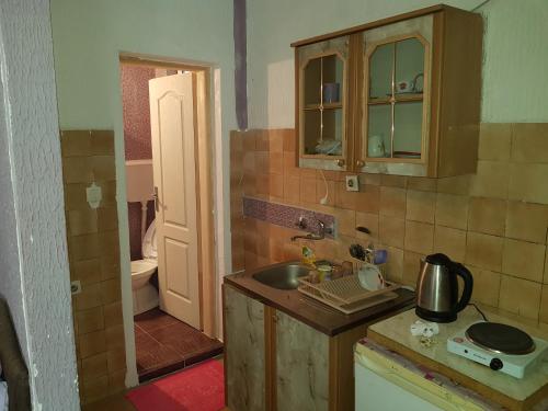 Virtuve vai virtuves zona naktsmītnē Guest House Dragomir