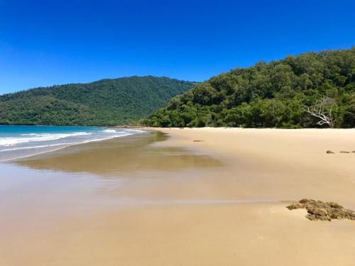 a sandy beach with trees in the background at Daintree Magic Holiday House in Cow Bay