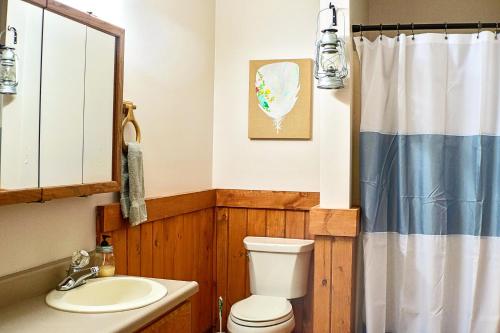 a bathroom with a toilet and a sink at The Hive Lodge-with views of the Smokies in Whittier