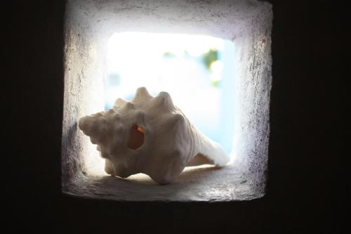 a white statue of an elephant sitting in a window at Amaranto Bed and Breakfast in Cozumel