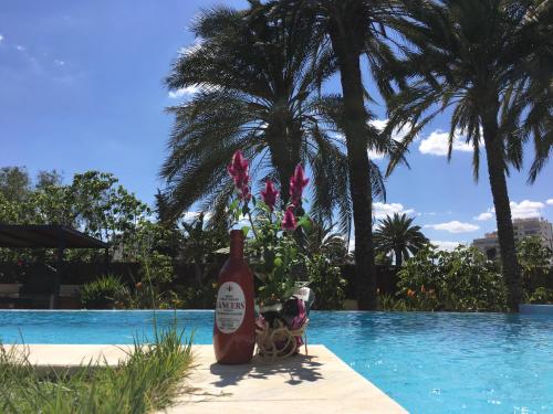 a bottle of wine sitting next to a swimming pool at Parkview near beach in Alicante