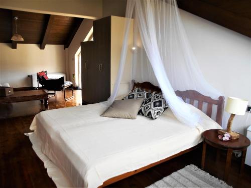 アルカネスにあるECO Villa Belenaのベッドルーム(天蓋付き白いベッド1台付)
