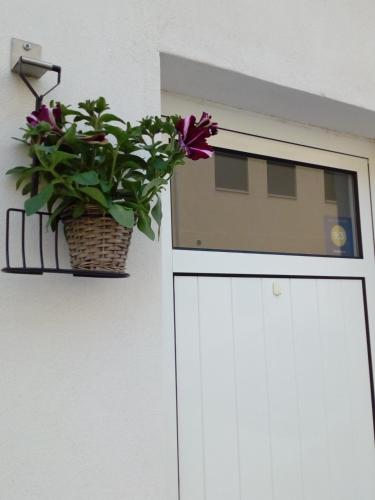 a plant in a basket on top of a door at Casa do Rio - Penacova in Raiva