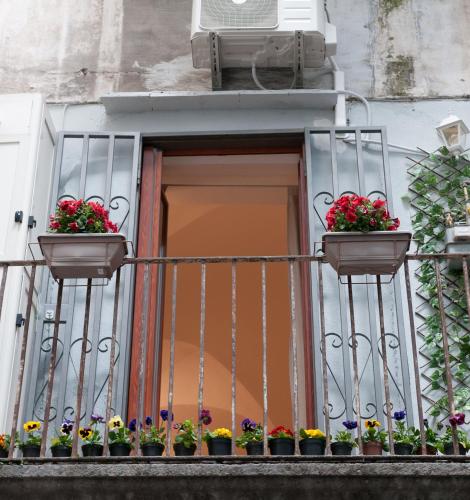 domus sanfelice