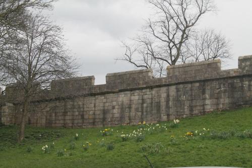 a stone wall with a bunch of flowers at Kyme Street, central York in York