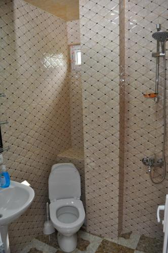 a bathroom with a toilet and a sink at Sofia Guest House in Kutaisi