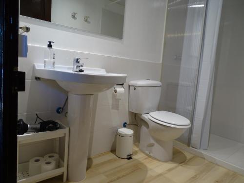 y baño con lavabo, aseo y ducha. en Cal Mestre - Apartament 4 pax. 1er pis, en Castellfollit de la Roca