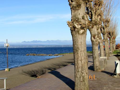 Gallery image of Cabañas Flores del sur in Llanquihue