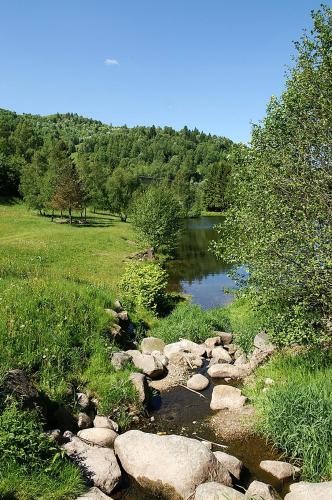 a river with rocks next to a field and trees at Auberge Alsacienne in Bussang