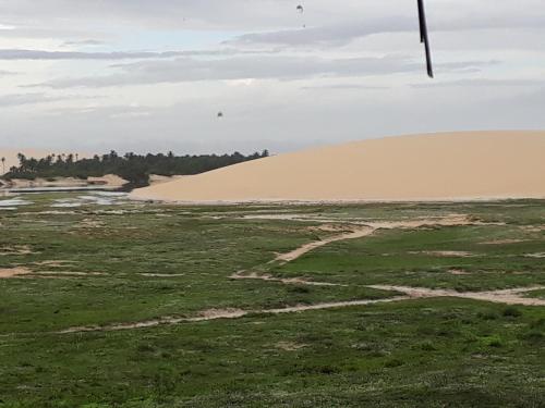 Phong cảnh thiên nhiên gần nhà khách