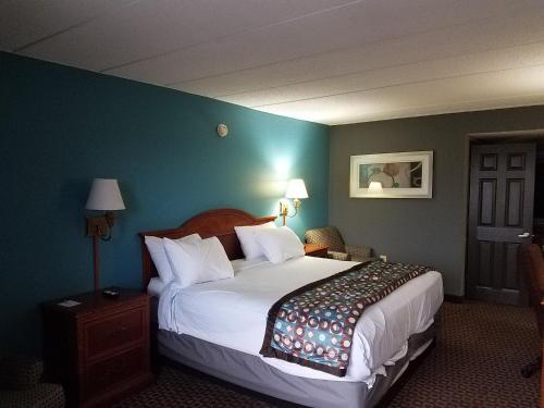 a hotel room with a bed and a blue wall at Americas Best Value Inn St. Louis Downtown in Saint Louis