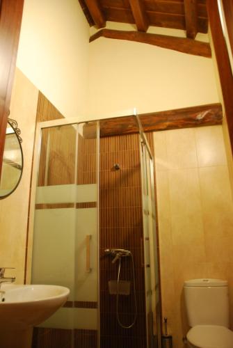 ein Bad mit einer Dusche, einem WC und einem Waschbecken in der Unterkunft Isabel Artemis ES in San Tirso de Abres