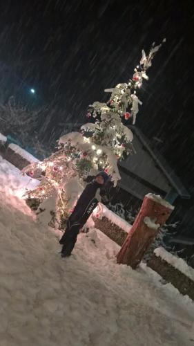 a person standing in the snow next to a christmas tree at Hotel Serenella in Canale San Bovo