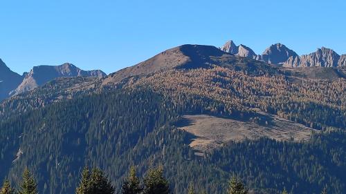a mountain covered in trees with mountains in the background at Hotel Serenella in Canale San Bovo