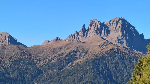 a mountain range with trees in the foreground at Hotel Serenella in Canale San Bovo