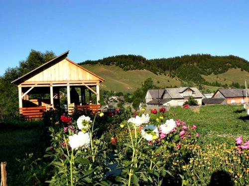 Gallery image of Pensiunea Cristiana-Bucovina in Mănăstirea Humorului