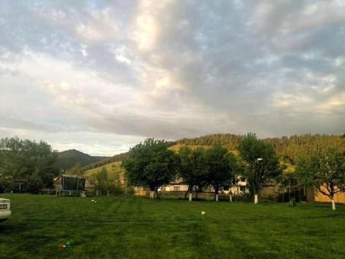 Gallery image of Pensiunea Cristiana-Bucovina in Mănăstirea Humorului